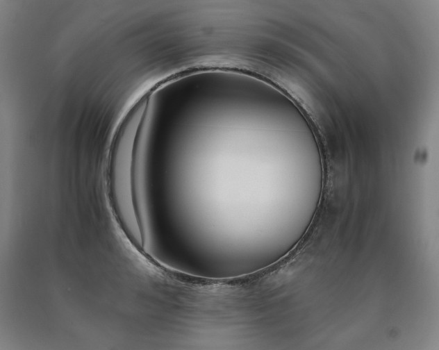 X0000090900992200707301409
