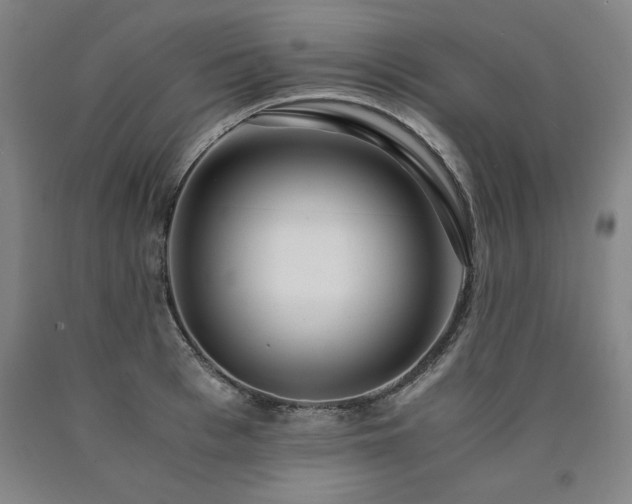 X0000090900993200707301409