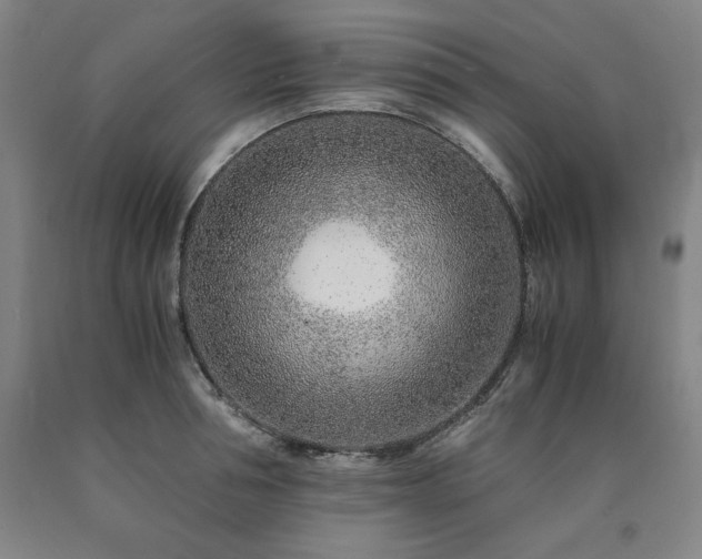 X0000090900994200707301409
