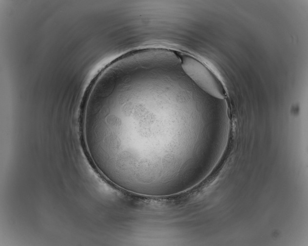 X0000090900995200707301409