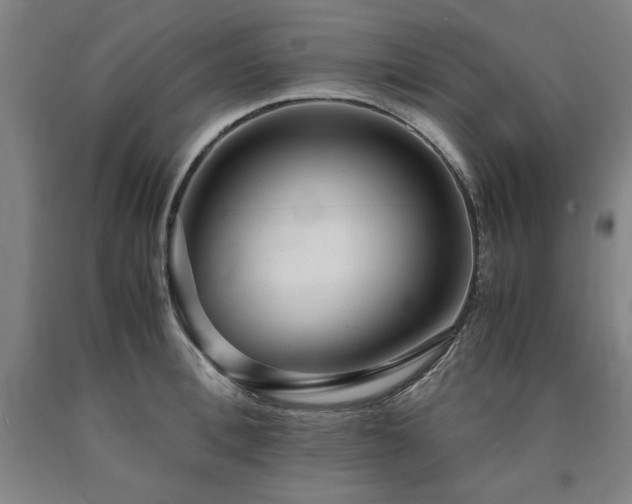 X0000090900996200707301409