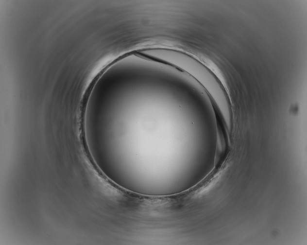 X0000090900997200707301409