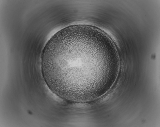 X0000090900998200707301409