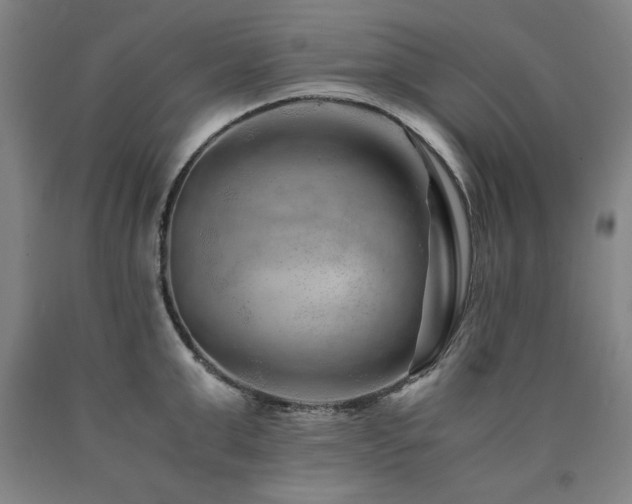 X0000090900999200707301409