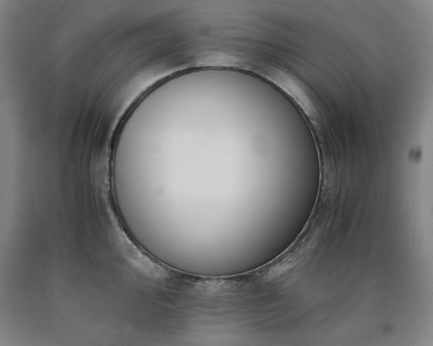 X0000090901000200707301409