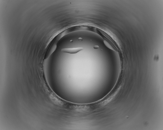 X0000090901001200707301409