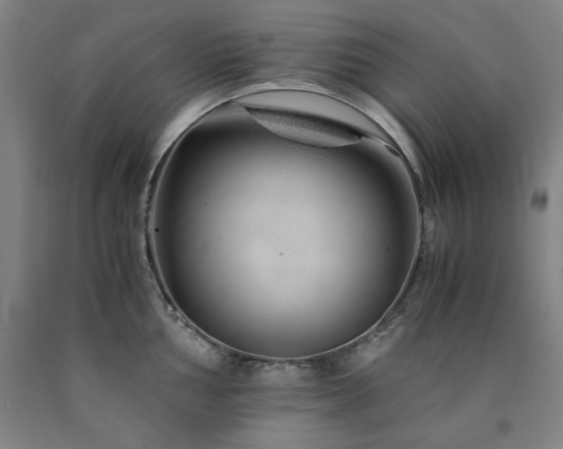 X0000090901002200707301409