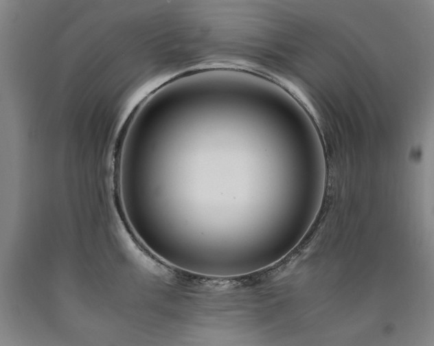 X0000090901003200707301409