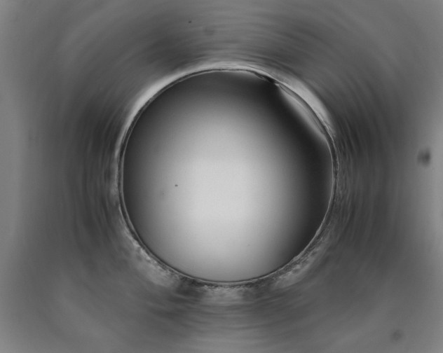 X0000090901004200707301409