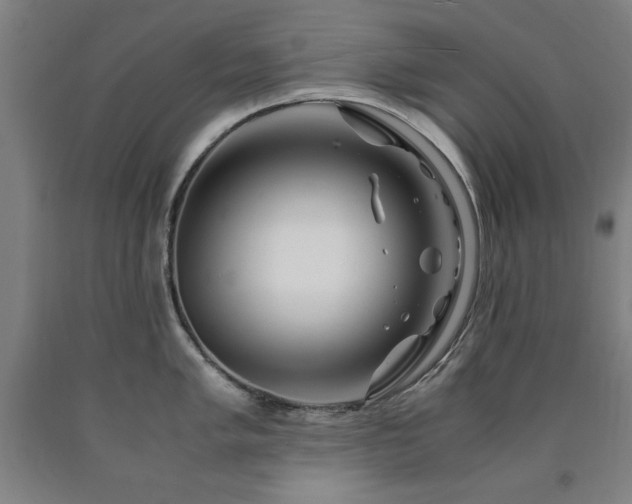 X0000090901005200707301409