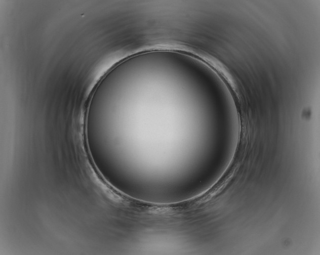 X0000090901006200707301409