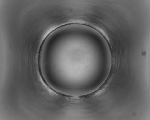 X0000090901007200707301409