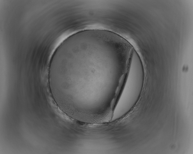 X0000090901008200707301409