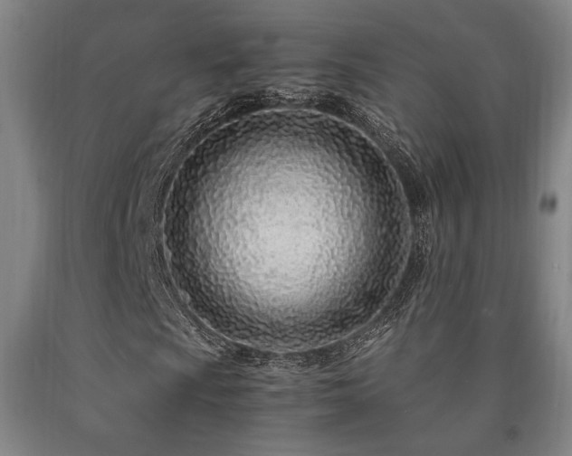 X0000090901009200707301408
