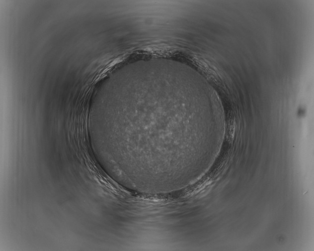 X0000090901010200707301408