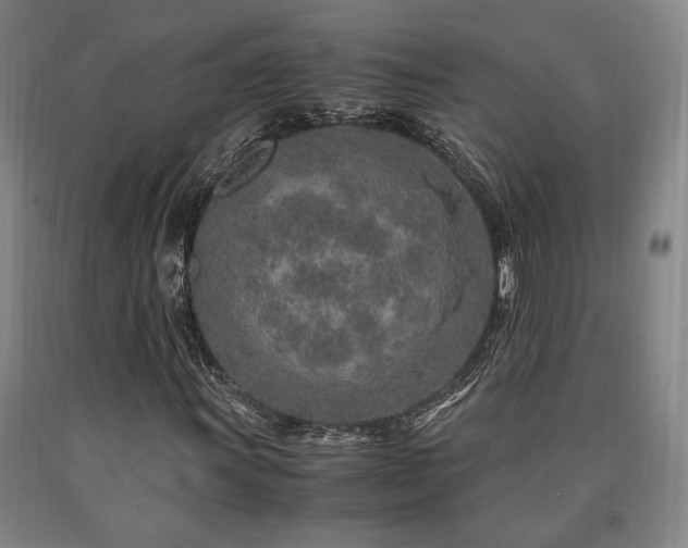 X0000090901011200707301408