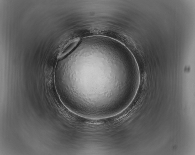 X0000090901012200707301408