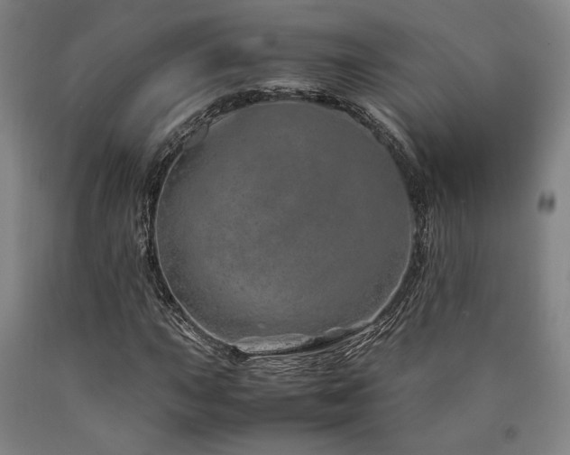 X0000090901015200707301408