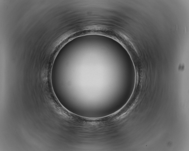 X0000090901017200707301408