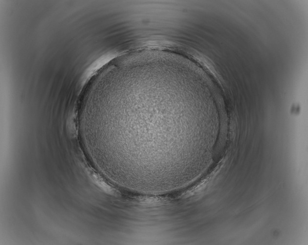 X0000090901018200707301408