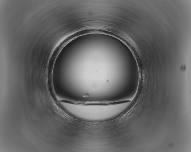 X0000090901020200707301408