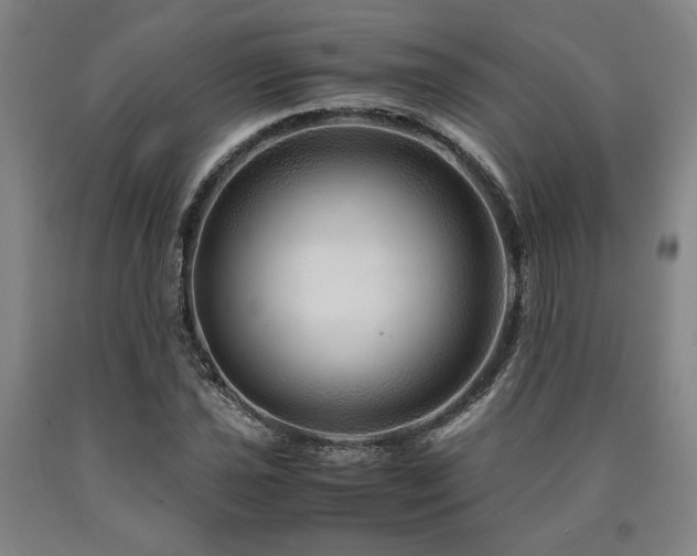 X0000090901021200707301408
