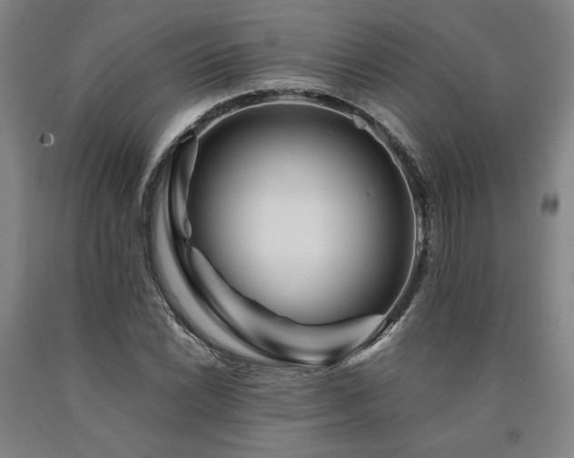 X0000090901022200707301408