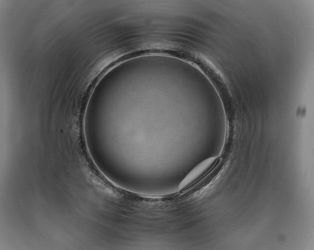 X0000090901025200707301408