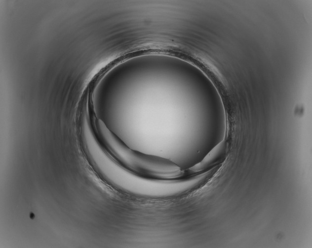 X0000090901026200707301408