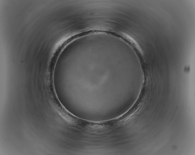 X0000090901027200707301408
