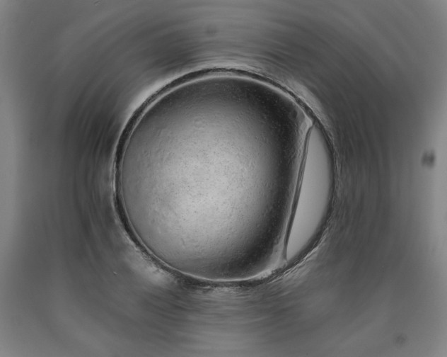 X0000090901028200707301408