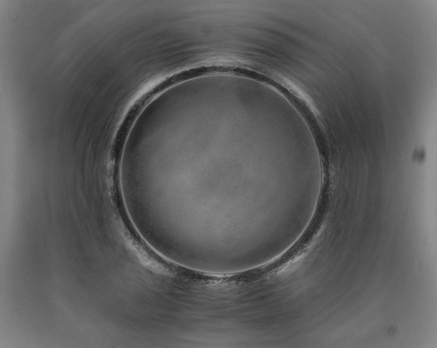 X0000090901029200707301408