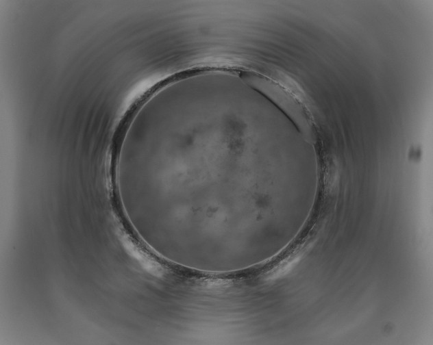 X0000090901030200707301408