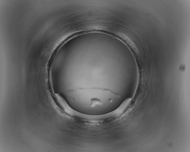 X0000090901031200707301408