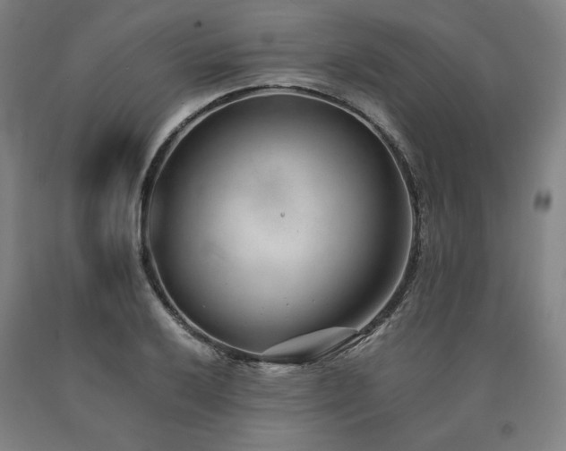 X0000090901032200707301408