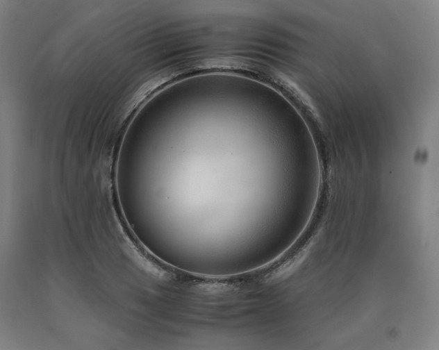 X0000090901033200707301408