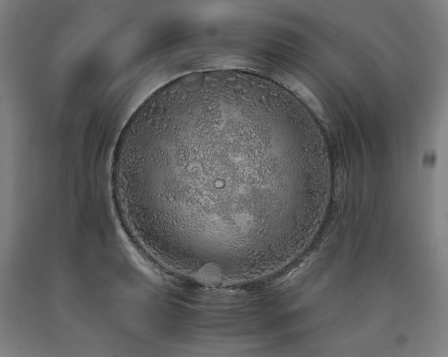 X0000090901039200707301408