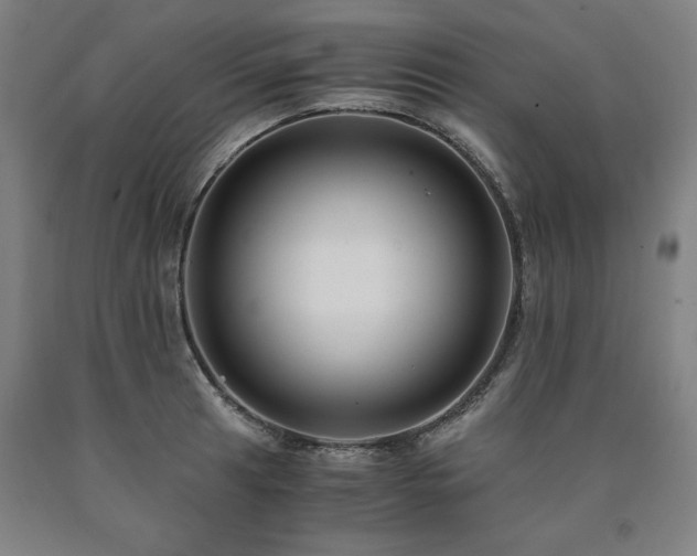 X0000090901041200707301408