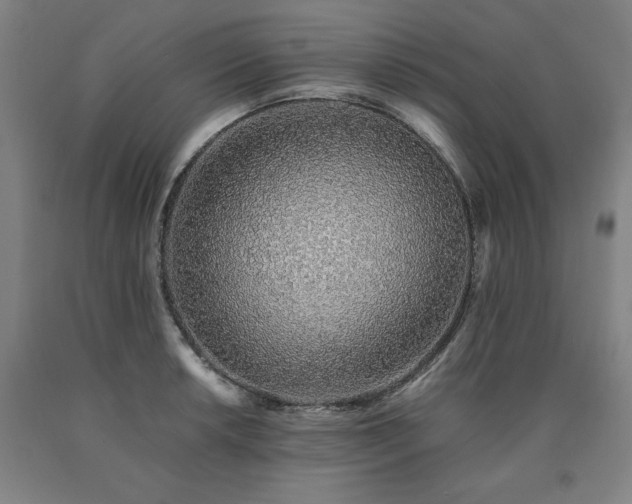 X0000090901042200707301408