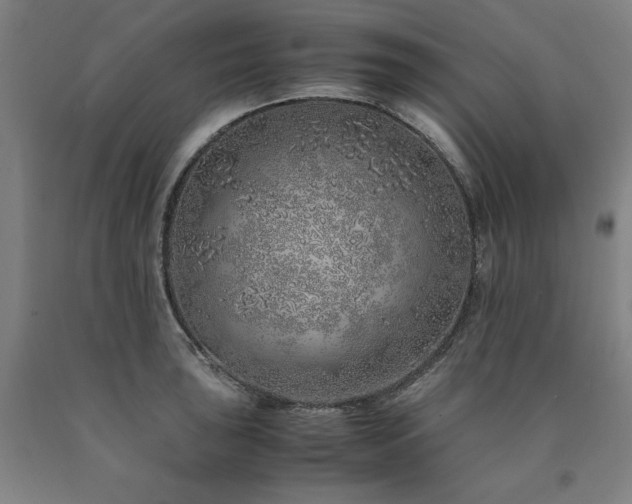 X0000090901043200707301408