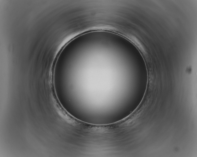 X0000090901044200707301408