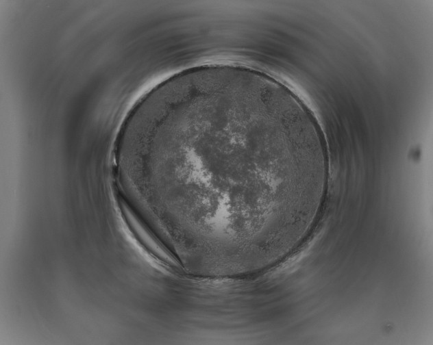 X0000090901045200707301408