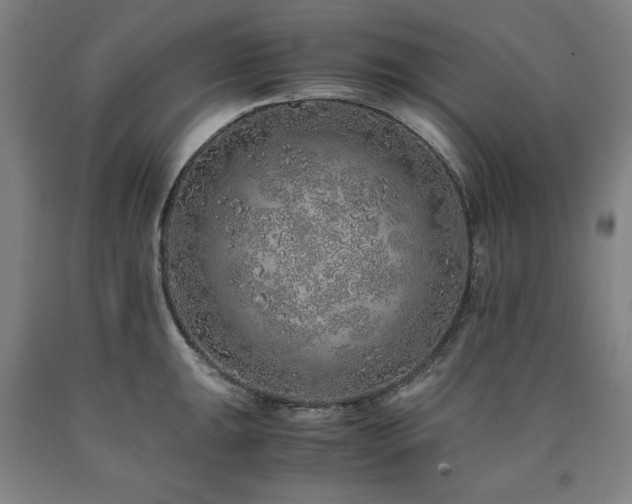 X0000090901047200707301408