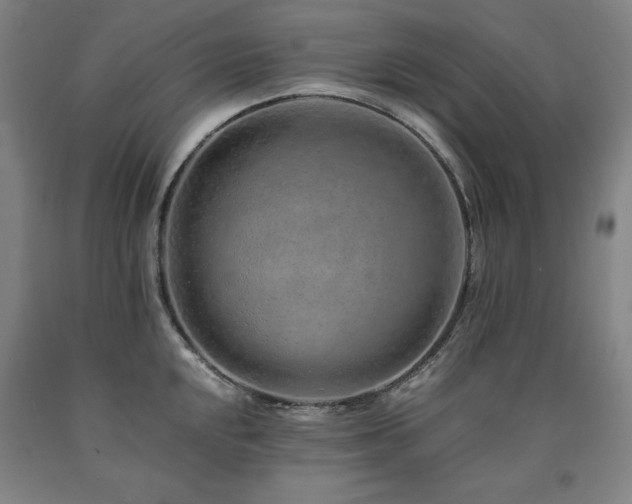 X0000090901048200707301408