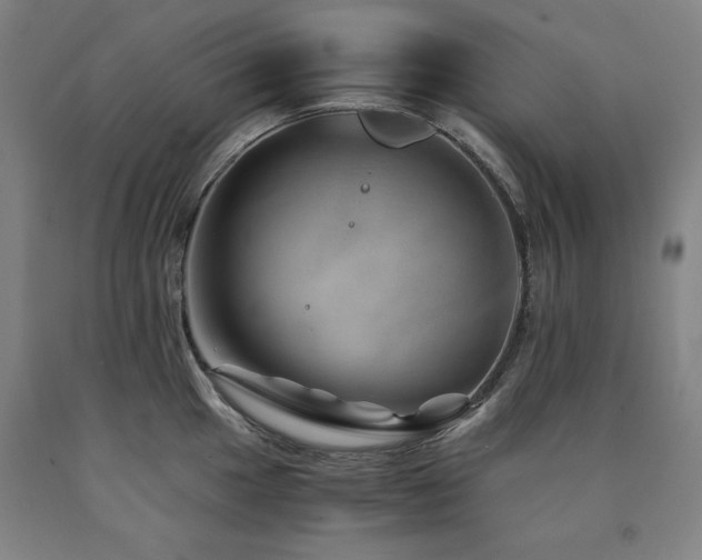 X0000090901049200707301408