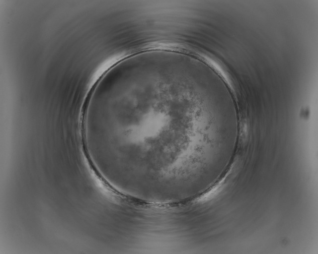 X0000090901050200707301408