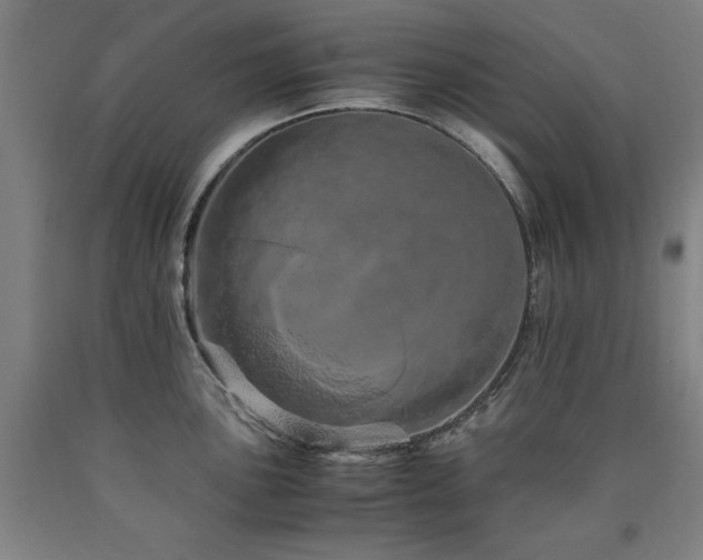 X0000090901051200707301408