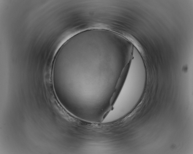 X0000090901052200707301408