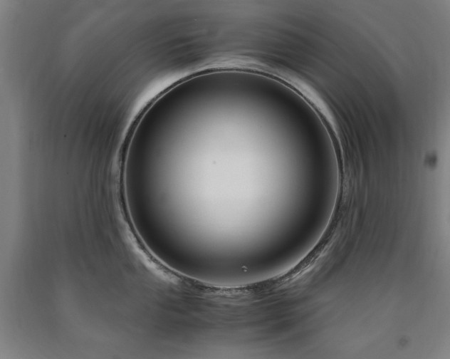 X0000090901053200707301408
