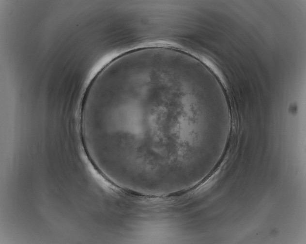 X0000090901054200707301408
